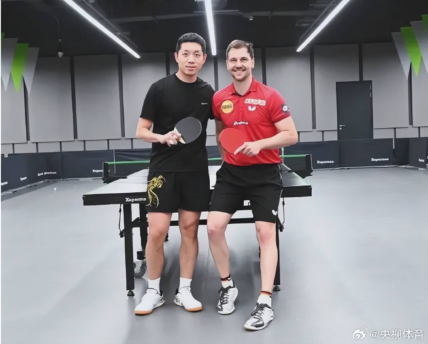 日本乒乓球队险胜德国乒乓球队，波尔送出助攻