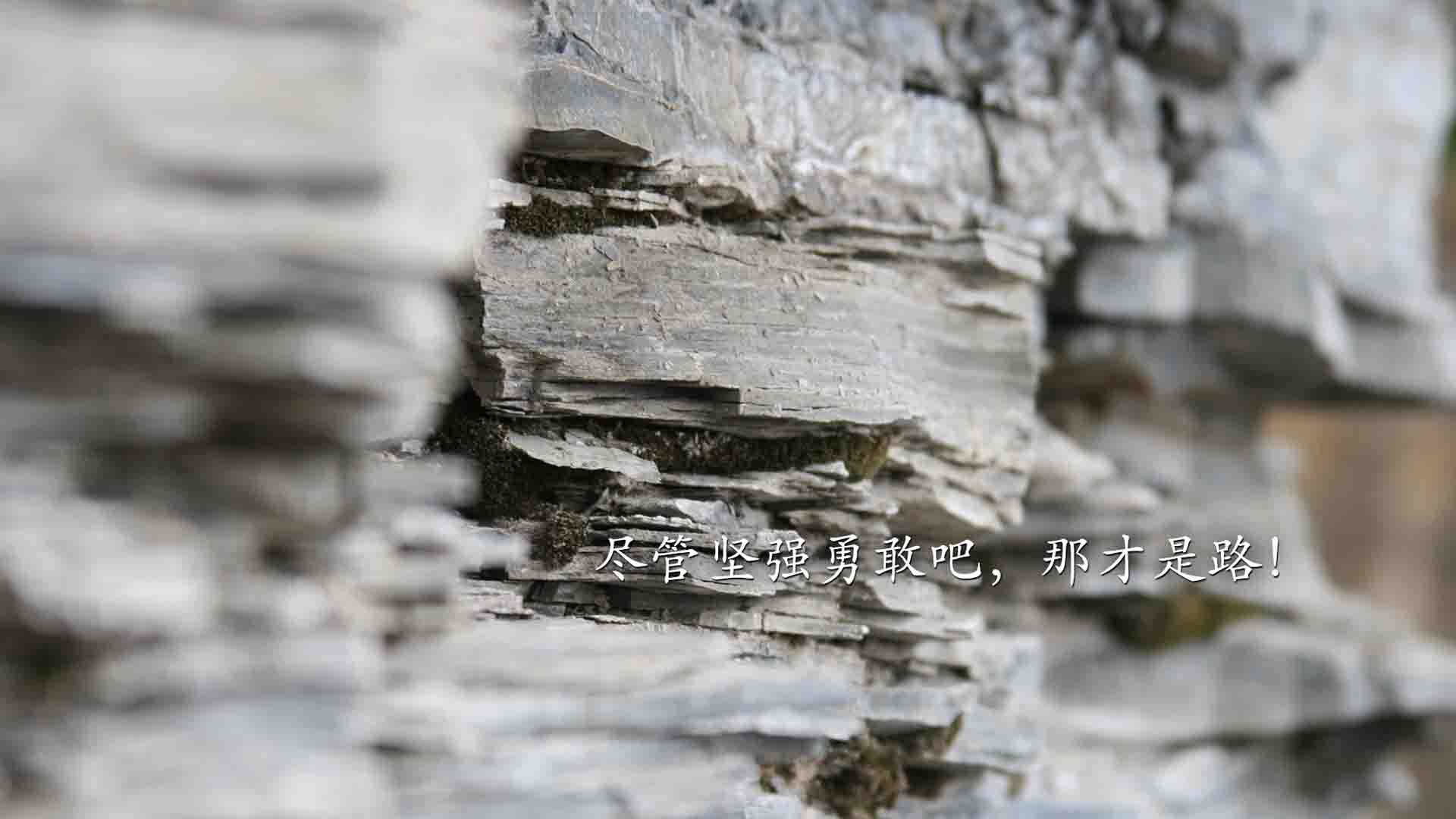 赛道与球场的双重爆冷，F1街道赛与开拓者快船之战的不谋而合