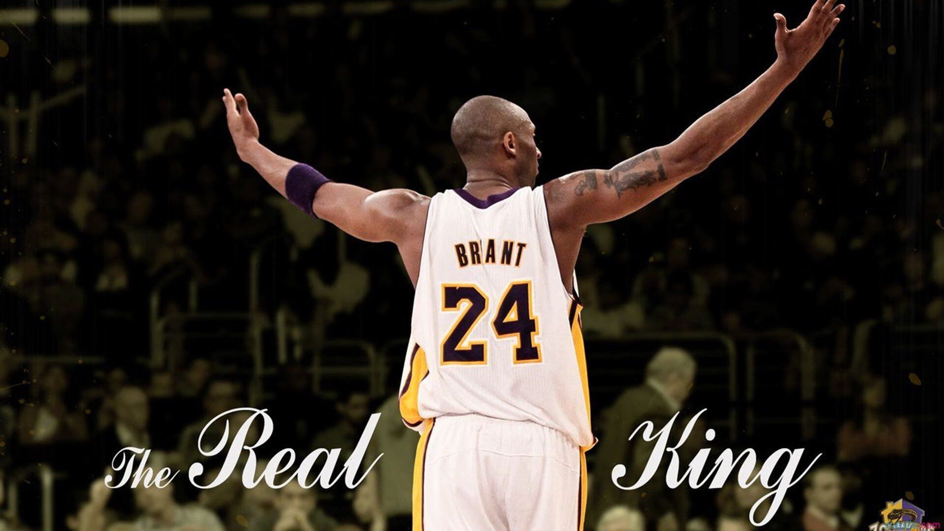 世界杯之夜，切特惊艳四座，2026年的绿茵传奇